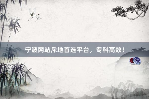 宁波网站斥地首选平台，专科高效！