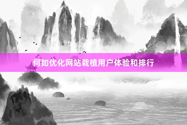 何如优化网站栽植用户体验和排行