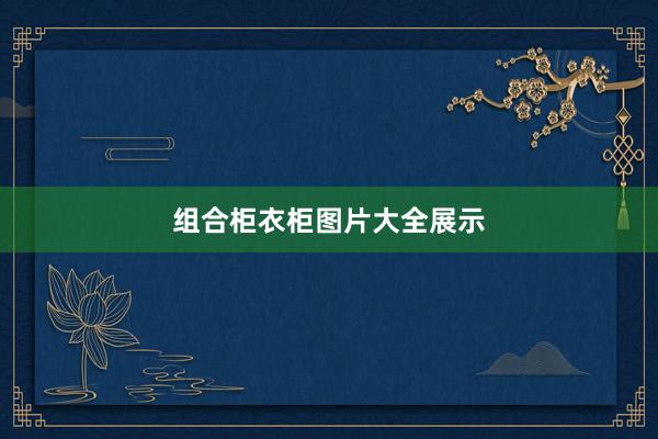 组合柜衣柜图片大全展示