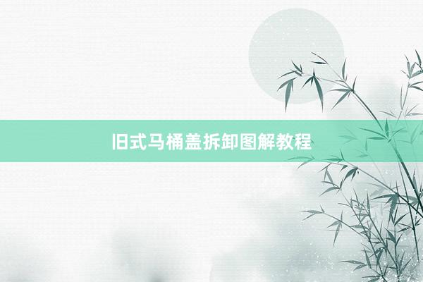 旧式马桶盖拆卸图解教程