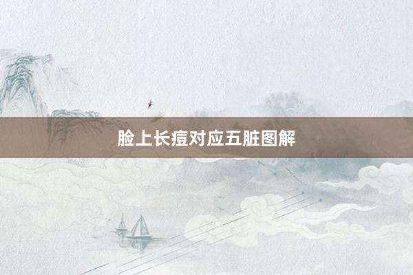脸上长痘对应五脏图解