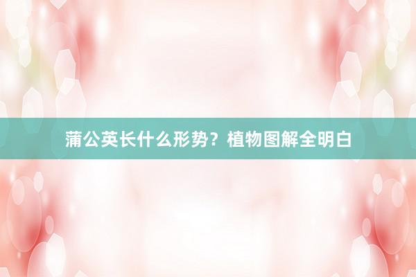 蒲公英长什么形势？植物图解全明白